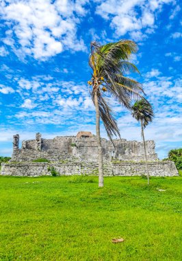 Antik Tulum, Tulum Meksika 'daki tropikal doğal orman palmiyesi ve deniz manzarasında tapınak kalıntıları ve eserlerle Maya bölgesini harabeye çeviriyor..
