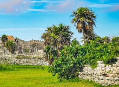 Antik Tulum, Tulum Meksika 'daki tropikal doğal orman palmiyesi ve deniz manzarasında tapınak kalıntıları ve eserlerle Maya bölgesini harabeye çeviriyor..