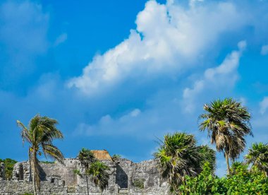 Antik Tulum, Tulum Meksika 'daki tropikal doğal orman palmiyesi ve deniz manzarasında tapınak kalıntıları ve eserlerle Maya bölgesini harabeye çeviriyor..