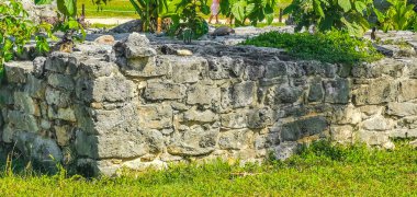 Antik Tulum, Tulum Meksika 'daki tropikal doğal orman palmiyesi ve deniz manzarasında tapınak kalıntıları ve eserlerle Maya bölgesini harabeye çeviriyor..