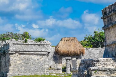 Antik Tulum, Tulum Meksika 'daki tropikal doğal orman palmiyesi ve deniz manzarasında tapınak kalıntıları ve eserlerle Maya bölgesini harabeye çeviriyor..