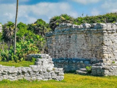 Antik Tulum, Tulum Meksika 'daki tropikal doğal orman palmiyesi ve deniz manzarasında tapınak kalıntıları ve eserlerle Maya bölgesini harabeye çeviriyor..