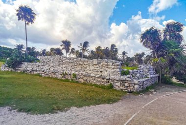 Antik Tulum, Tulum Meksika 'daki tropikal doğal orman palmiyesi ve deniz manzarasında tapınak kalıntıları ve eserlerle Maya bölgesini harabeye çeviriyor..