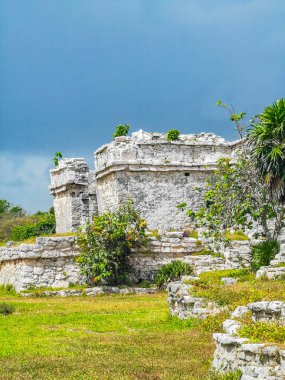 Antik Tulum, Tulum Meksika 'daki tropikal doğal orman palmiyesi ve deniz manzarasında tapınak kalıntıları ve eserlerle Maya bölgesini harabeye çeviriyor..