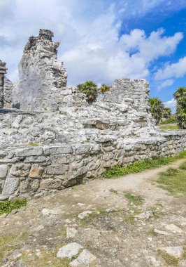 Antik Tulum, Tulum Meksika 'daki tropikal doğal orman palmiyesi ve deniz manzarasında tapınak kalıntıları ve eserlerle Maya bölgesini harabeye çeviriyor..
