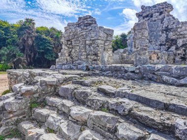 Antik Tulum, Tulum Meksika 'daki tropikal doğal orman palmiyesi ve deniz manzarasında tapınak kalıntıları ve eserlerle Maya bölgesini harabeye çeviriyor..