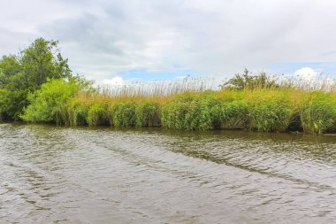 Beautiful natural landscape view panorama with forest some trees and water waves of Oste river in Hemmoor Hechthausen Cuxhaven Lower Saxony Germany.