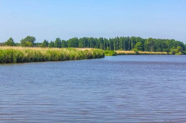 Beautiful natural landscape view panorama with forest trees and water waves of Oste river in Hemmoor Hechthausen Cuxhaven Lower Saxony Germany.