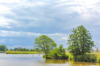 Beautiful natural landscape view panorama with forest some dead trees and water waves of Oste river in Hemmoor Hechthausen Cuxhaven Lower Saxony Germany.