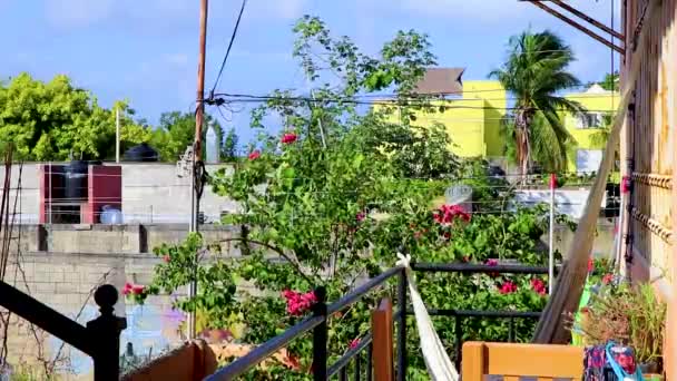Терраса Балкон Пальмами Зеленые Природные Тропические Растения Playa Del Carmen — стоковое видео