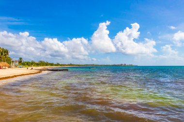 Playa del Carmen Mexico 'da berrak turkuaz mavi suyu olan tropik Meksika sahili manzarası..