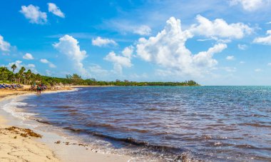 Playa del Carmen 18. August 2021 Tropical mexican beach landscape panorama full of people at beach parties on vacation in Playa del Carmen Mexico.