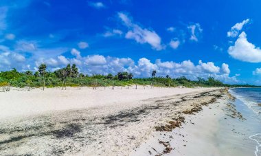 Playa del Carmen Mexico 'da berrak turkuaz mavi suyu olan tropik Meksika sahili manzarası..