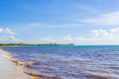 Playa del Carmen Mexico 'da berrak turkuaz mavi suyu olan tropik Meksika sahili manzarası..