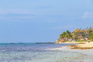 Playa del Carmen Mexico 'da berrak turkuaz mavi suyu olan tropik Meksika sahili manzarası..