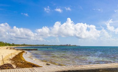 Tropical mexican beach landscape panorama with clear turquoise blue water and seaweed sargazo in Playa del Carmen Mexico.