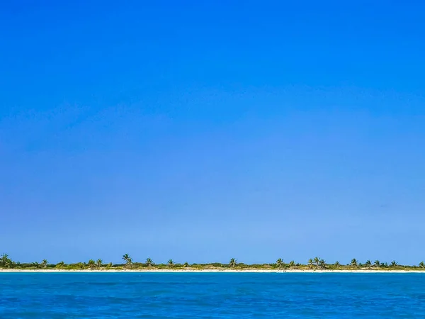 Boat Trip Tour Cancun Island Mujeres Isla Contoy Whale Shark — 스톡 사진