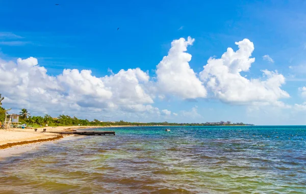 Panorama Tropical Playa Mexicana Con Agua Azul Turquesa Clara Playa — Foto de Stock