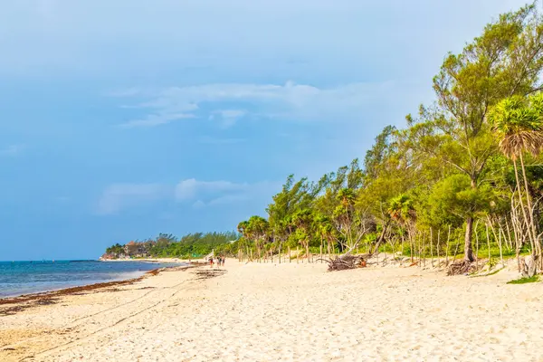 Panorama Tropical Playa Mexicana Con Agua Azul Turquesa Clara Playa —  Fotos de Stock