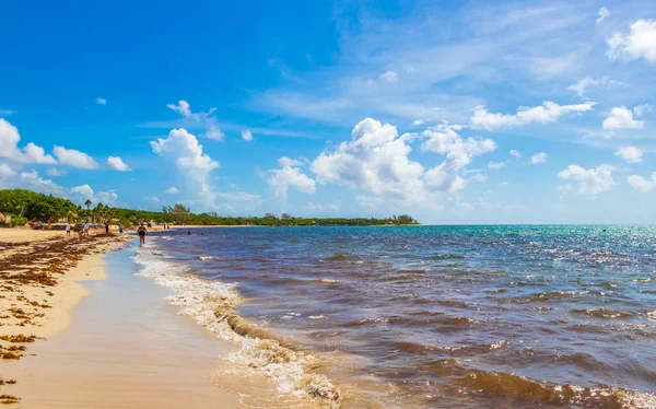 Playa Del Carmen August 2021 Tropical Mexican Beach Landscape Panorama — 图库照片