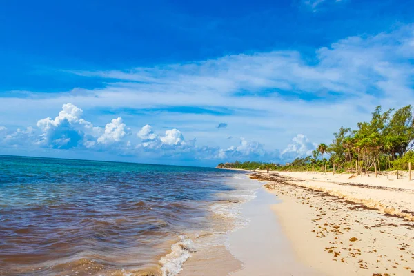 Панорама Тропічного Узбережжя Мексики Чистою Бірюзовою Блакитною Водою Плая Дель — стокове фото