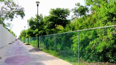 Playa del Carmen Meksika 'daki tropikal Meksika plajına doğal giriş ve yol..