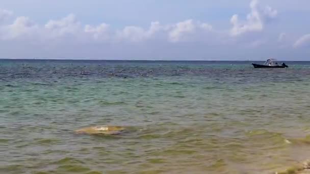 Barcos Yates Playa Tropical Mexicana Vista Panorámica Con Agua Azul — Vídeos de Stock