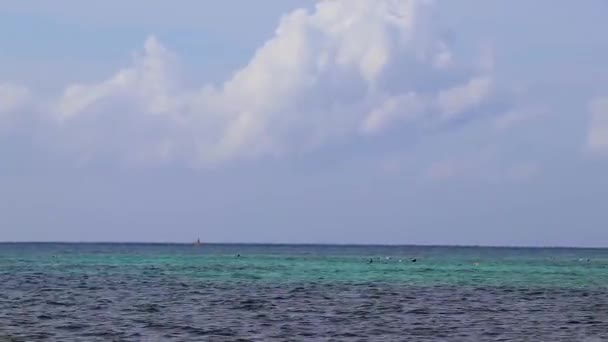 Praia Mexicana Tropical Águas Turquesa Clara Playa Del Carmen México — Vídeo de Stock