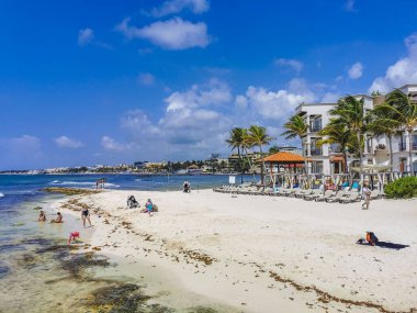 Playa del Carmen 11. Mayıs 2022 Playa del Carmen Meksika 'da plaj partilerindeki insanlarla dolu tropikal Meksika sahili manzarası.