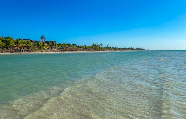 Panorama manzaralı güzel Holbox adası kumsalı ve kumsalı Quintana Roo Mexico 'da turkuvaz su ve mavi gökyüzü.
