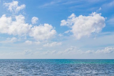 Playa del Carmen Mexico 'da berrak turkuaz mavi suyu olan tropik Meksika sahili manzarası..