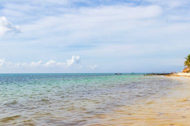 Playa del Carmen Mexico 'da berrak turkuaz mavi suyu olan tropik Meksika sahili manzarası..