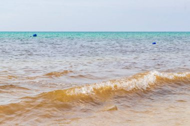 Playa del Carmen Mexico 'da berrak turkuaz mavi suyu olan tropik Meksika sahili manzarası..