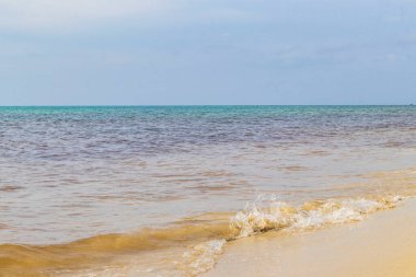 Playa del Carmen Mexico 'da berrak turkuaz mavi suyu olan tropik Meksika sahili manzarası..