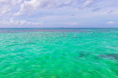 Playa del Carmen Mexico 'da berrak turkuaz mavi suyu olan tropik Meksika sahili manzarası..