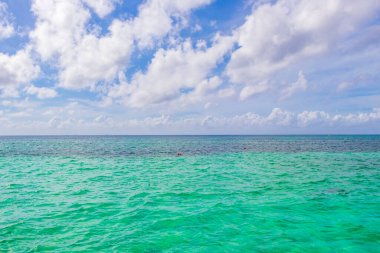 Playa del Carmen Mexico 'da berrak turkuaz mavi suyu olan tropik Meksika sahili manzarası..
