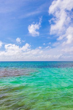 Playa del Carmen Mexico 'da berrak turkuaz mavi suyu olan tropik Meksika sahili manzarası..