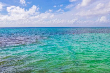 Playa del Carmen Mexico 'da berrak turkuaz mavi suyu olan tropik Meksika sahili manzarası..