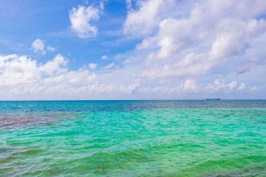 Playa del Carmen Mexico 'da berrak turkuaz mavi suyu olan tropik Meksika sahili manzarası..