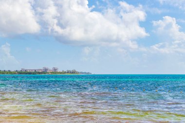 Playa del Carmen Mexico 'da berrak turkuaz mavi suyu olan tropik Meksika sahili manzarası..