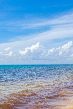 Playa del Carmen Mexico 'da berrak turkuaz mavi suyu olan tropik Meksika sahili manzarası..