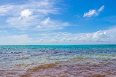 Playa del Carmen Mexico 'da berrak turkuaz mavi suyu olan tropik Meksika sahili manzarası..