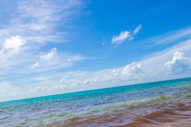 Playa del Carmen Mexico 'da berrak turkuaz mavi suyu olan tropik Meksika sahili manzarası..