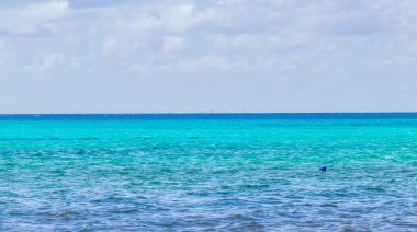 Playa del Carmen Mexico 'da berrak turkuaz mavi suyu olan tropik Meksika sahili manzarası..