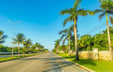 Tipik sokak yolu ve şehir manzarası arabalarla trafik restoranları, Quintana Roo Mexico 'daki Playa del Carmen' in insan ve binaları..