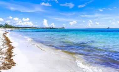 Playa del Carmen Meksika 'da berrak mavi turkuaz mavi su ve dalgalarla tropik Meksika sahili manzarası.