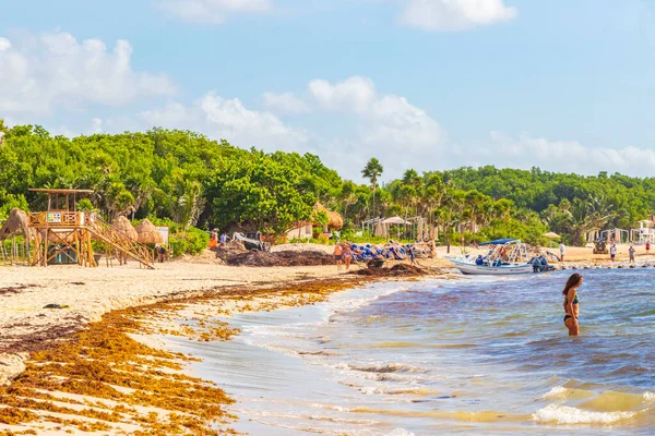 Playa Del Carmen August 2021 Tropical Mexican Beach Landscape Panorama — Foto Stock