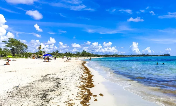 Playa Del Carmen August 2021 Tropical Mexican Beach Landscape Panorama — Foto Stock