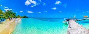 Contoy Island Mexico 24. February 2022 Amazing landscape panorama view with turquoise blue water palm trees natural tropical beach and boats jetty yacht on the island of Contoy in Quintana Roo Mexico. clipart