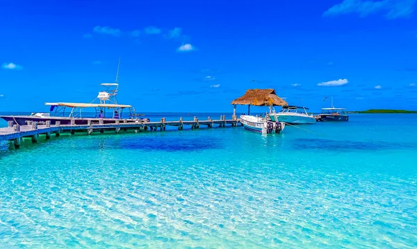 Contoy Island Mexico 2022年2月ターコイズブルーの水のヤシの木と素晴らしい景色のパノラマビュー自然熱帯のビーチとボートキンタナ メキシコのコントイ島の桟橋ヨット — ストック写真